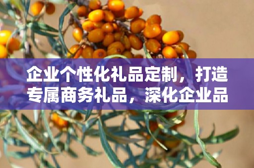 企业个性化礼品定制，打造专属商务礼品，深化企业品牌印象