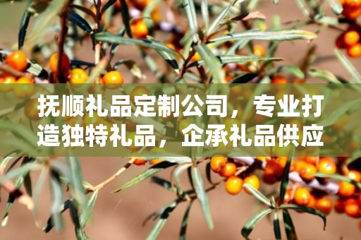 抚顺礼品定制公司，专业打造独特礼品，企承礼品供应链卓越服务